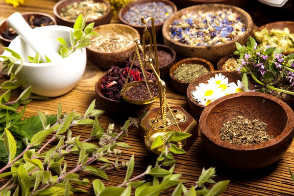 Varias plantas e ervas medicinais