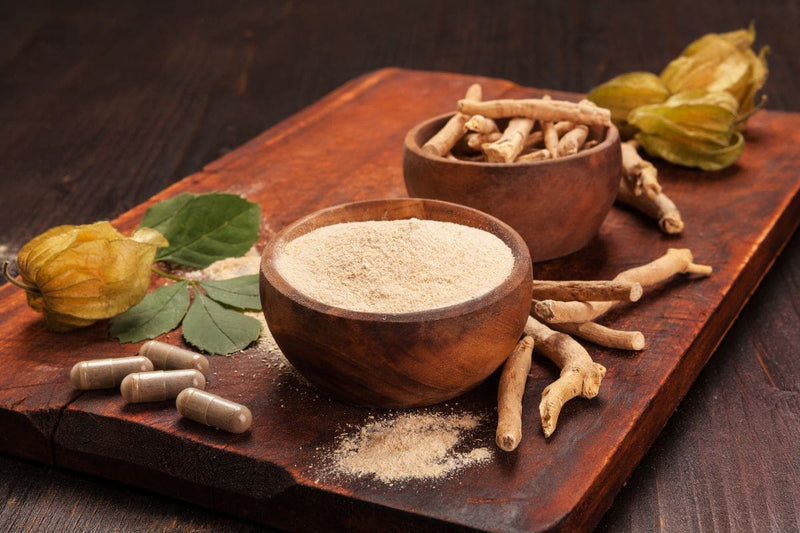 Ashwagandha: para que serve, benefícios e tudo sobre