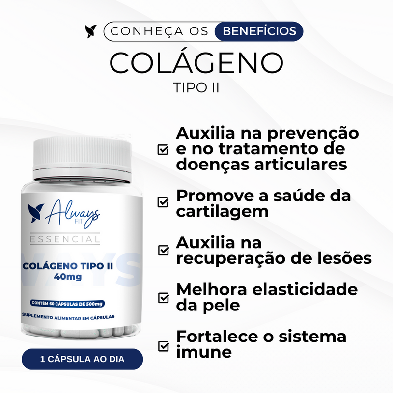 Colágeno Tipo II 40mg Articulações e Cartilagem - 60 Cápsulas